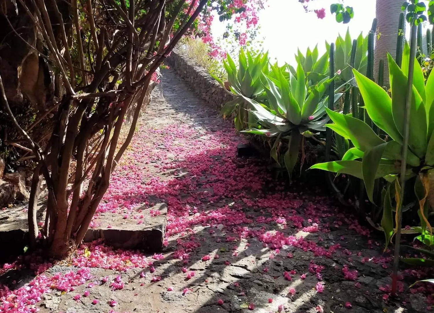 Molino Remanente Apartment Santa Cruz de la Palma  Santa Cruz de la Palma (Isla de la Palma)